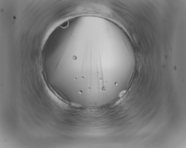 X0000069831531200606021324