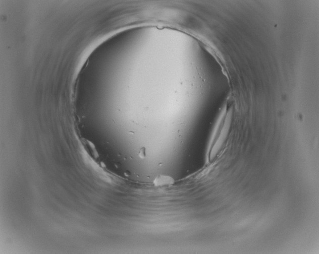 X0000069831532200606021324