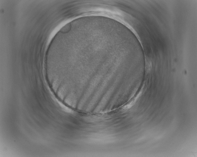 X0000069831533200606021324