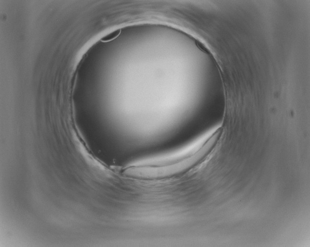 X0000069831534200606021324