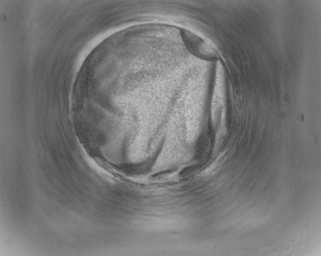 X0000069831535200606021324