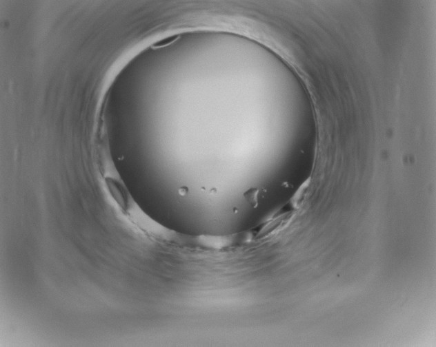 X0000069831536200606021324