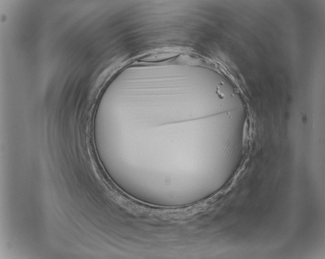 X0000069830001200606091457