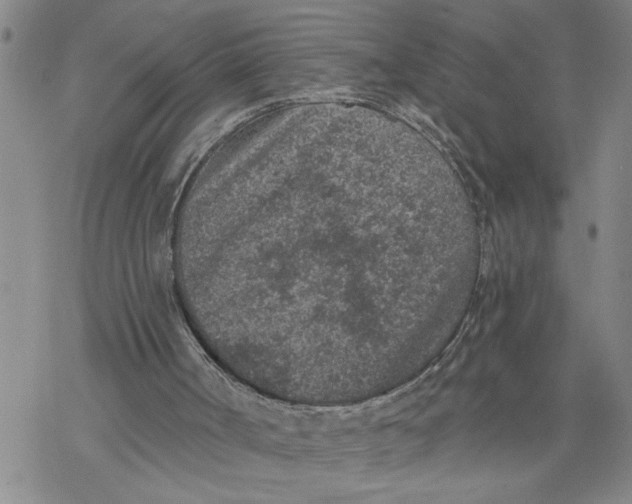 X0000069830002200606091457