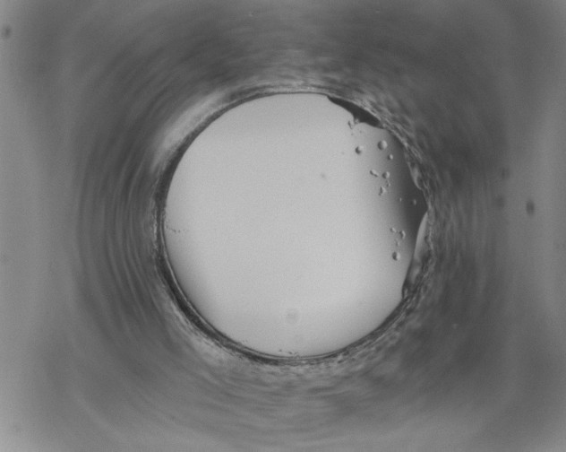 X0000069830005200606091457