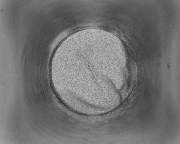 X0000069830006200606091457