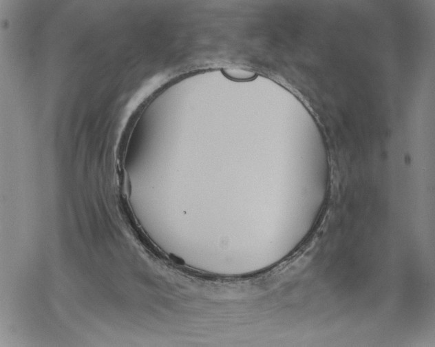 X0000069830008200606091457