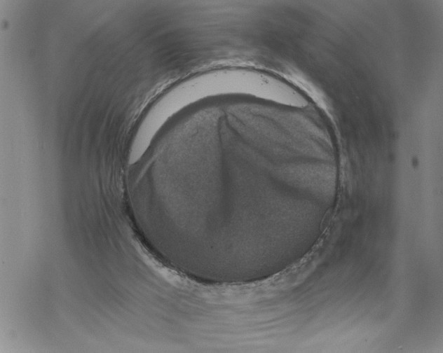 X0000069830009200606091457