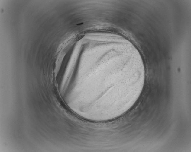 X0000069830010200606091457