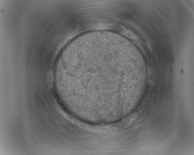 X0000069830012200606091457