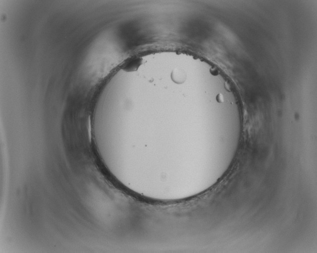 X0000069830013200606091457