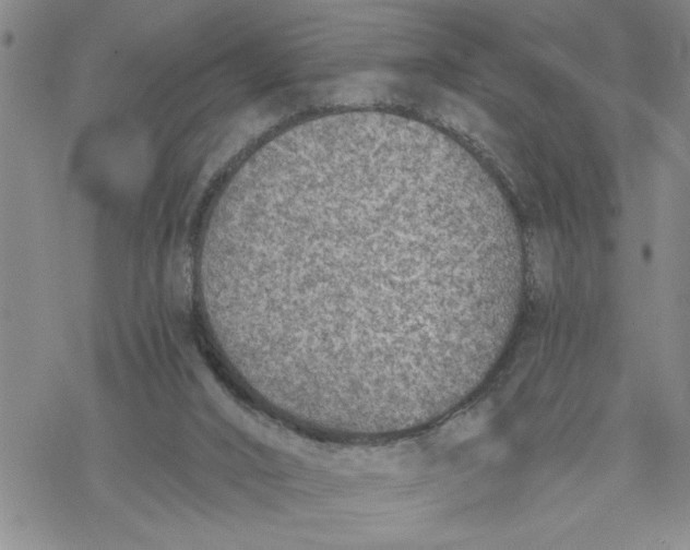 X0000069830016200606091457