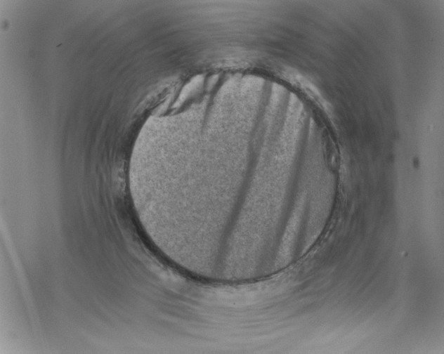 X0000069830017200606091457