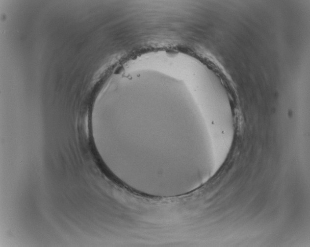 X0000069830019200606091457