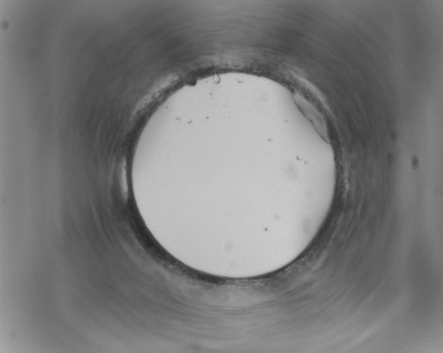 X0000069830020200606091457