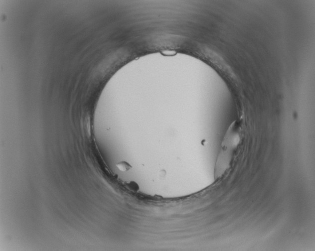 X0000069830021200606091457