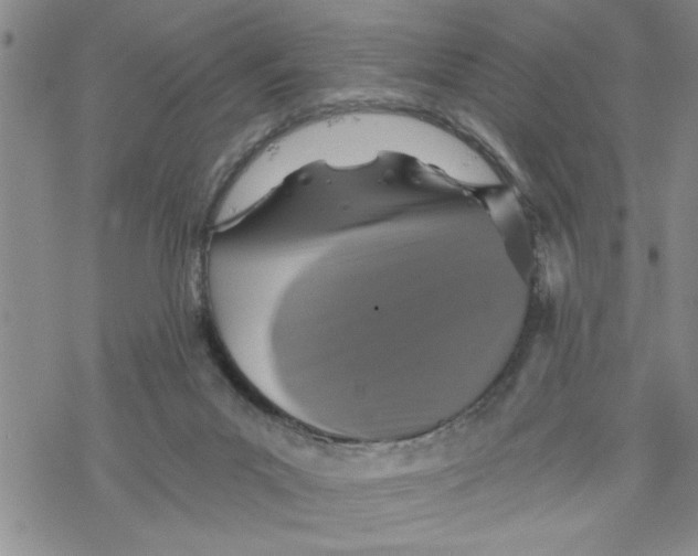 X0000069830023200606091457