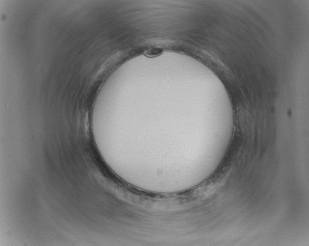 X0000069830024200606091457