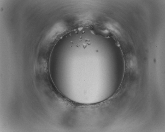 X0000069830025200606091457