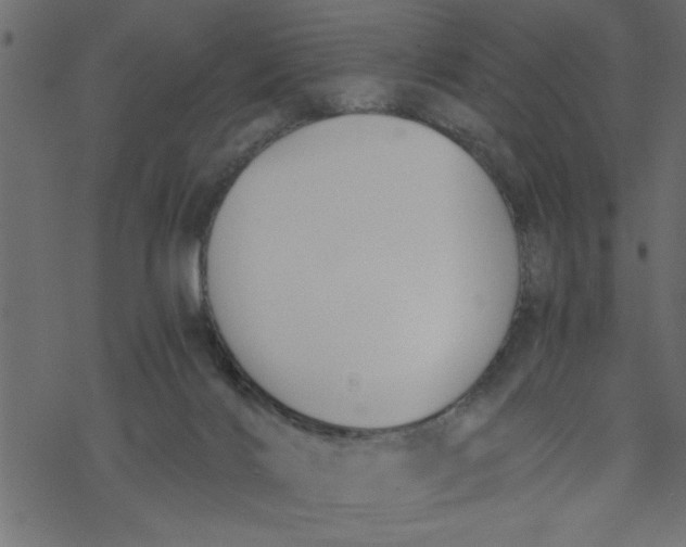 X0000069830028200606091457