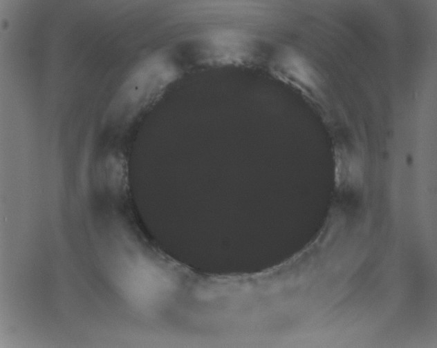 X0000069830029200606091457