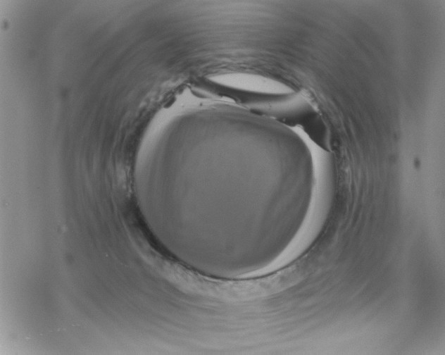 X0000069830031200606091457