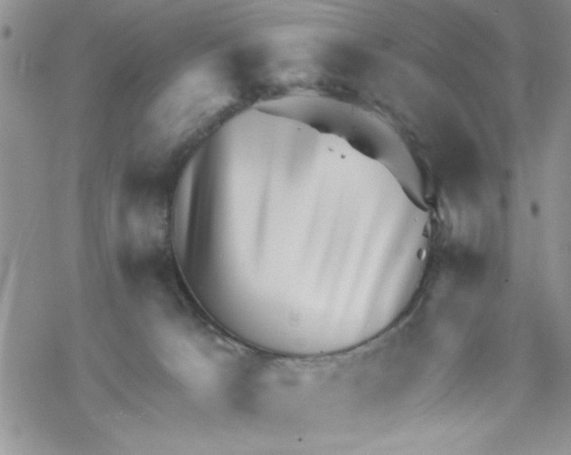 X0000069830033200606091457