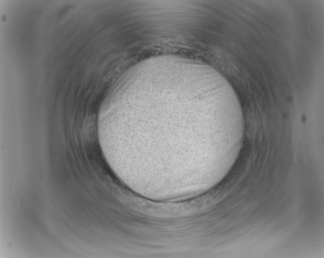 X0000069830034200606091457