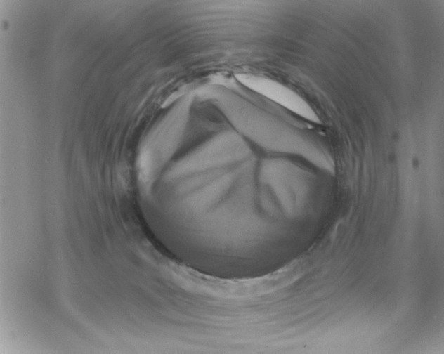 X0000069830035200606091457