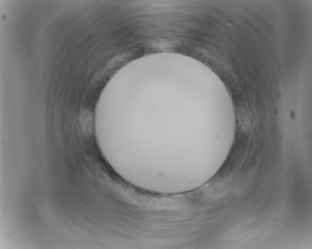 X0000069830036200606091457