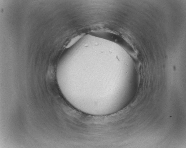 X0000069830037200606091457