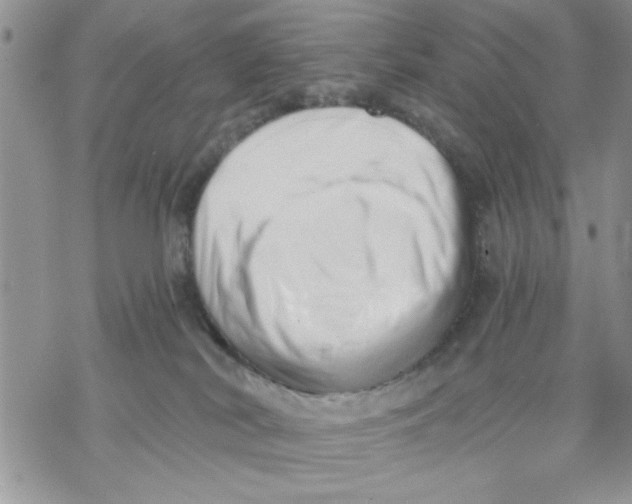 X0000069830038200606091457