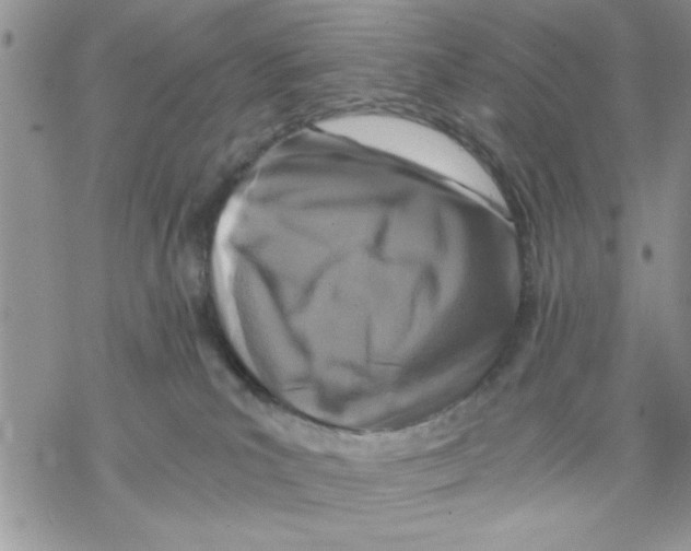 X0000069830039200606091457