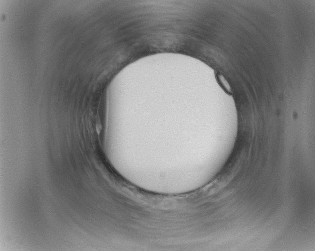 X0000069830040200606091457