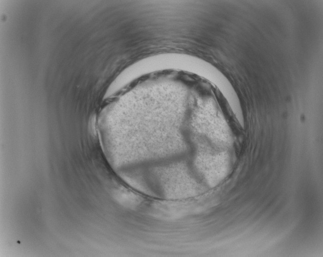 X0000069830041200606091457