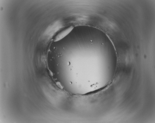 X0000069830045200606091457