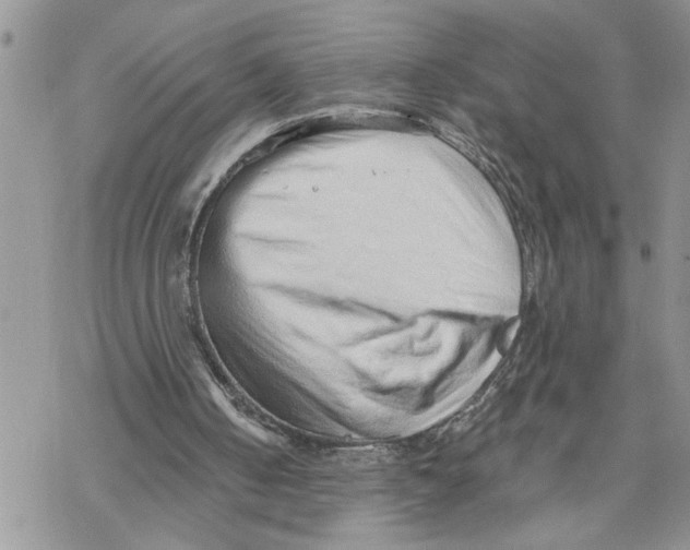 X0000069830050200606091456