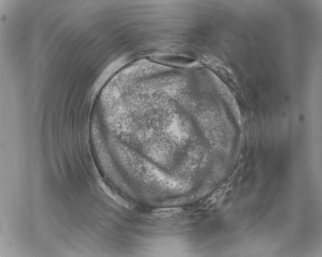 X0000069830051200606091456