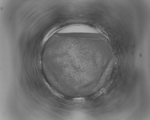 X0000069830053200606091456