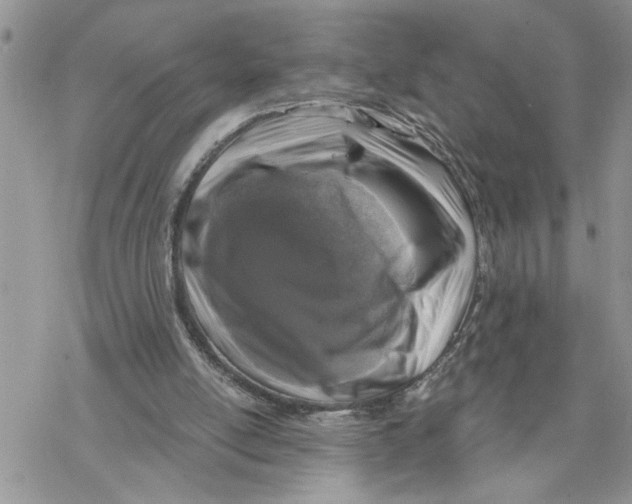 X0000069830054200606091456