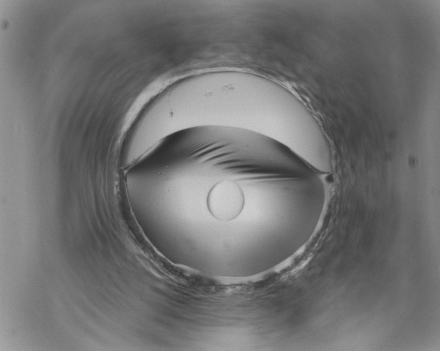 X0000069830056200606091456