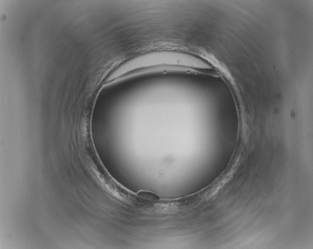 X0000069830057200606091456