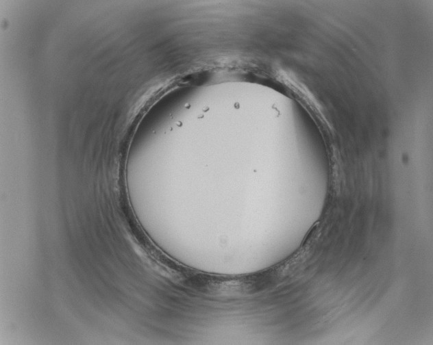 X0000069830058200606091456