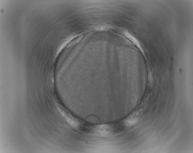 X0000069830059200606091456