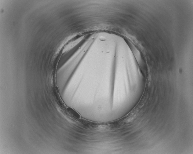 X0000069830060200606091456