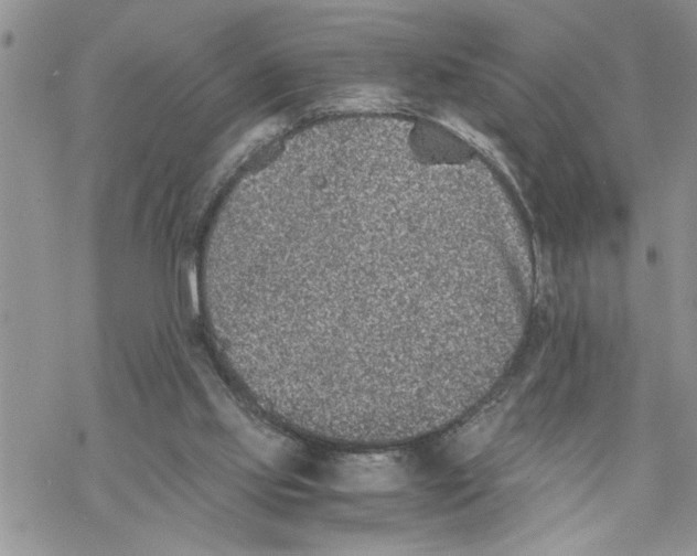 X0000069830061200606091456