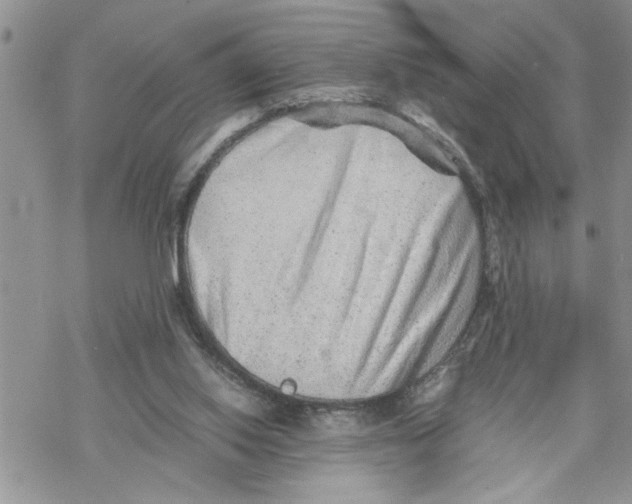 X0000069830062200606091456