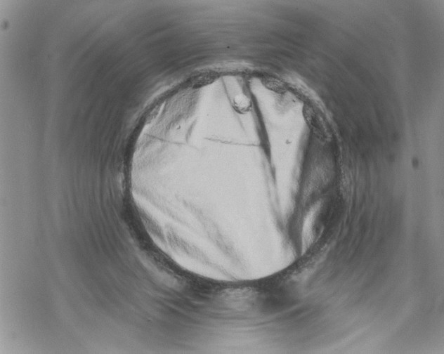 X0000069830063200606091456