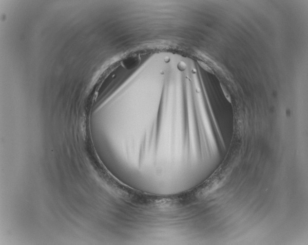 X0000069830064200606091456