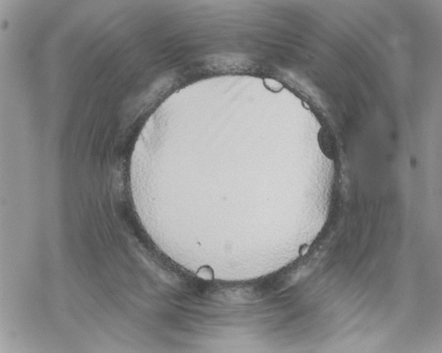 X0000069830065200606091456